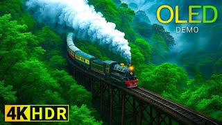 OLED Demo : The Natural World in HDR Dolby Vision | 4K Video Ultra HD