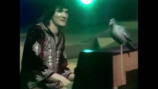 lieutenant pigeon  mouldy old dough