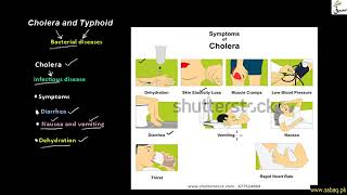 Cholera, Typhoid, biology Lecture   sami