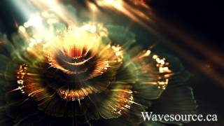 WaveSource