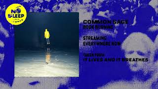 common sage - book burning