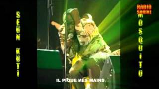 Afrobeat On The Ground part2