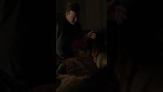 Kujo German Shepherd does not want daddy in the bed