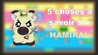 5 choses à savoir sur HAMIRAL