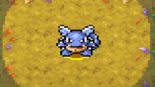 Wartortle - Purity Forest Clear - Pokémon Mystery Dungeon Red/Blue Rescue Team