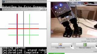 Accel_Walking3.wmv