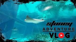 Enjoying the day | Stoney adventure vlog | All vibes