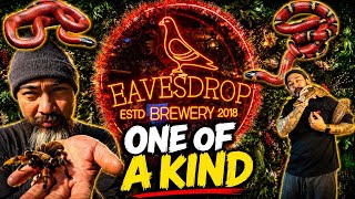 The Most Unique Reptile Show in the Country ‼️