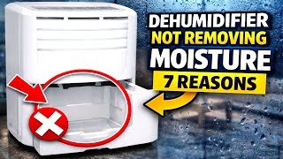 Dehumidifier Not Removing Moisture? 7 Reasons & Easy Fixes