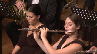 Stravinsky: Firebird, Ljubljana International Orchestra
