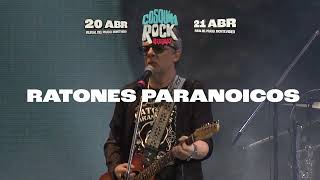BUMPER RATONES PARANOICOS