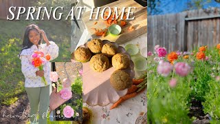 SPRING AT HOME | baking carrot cake muffins, starting my coastal recipe book 🌸🥕