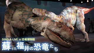 DINO-A-LIVE in 恐竜博物館 蘇った福井の恐竜たち 福井県立恐竜博物館リニューアル記念恐竜ライブショー／DINO-A-LIVE in dinosaur museum 2023 ≪4K≫