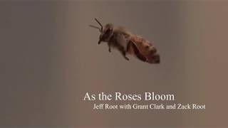 Jeff Root - As the Roses Bloom