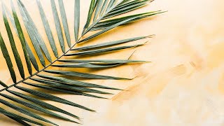 🎧 LiQWYD - Taste It _Official_ (Music Underground No Copyright Music) Free Download