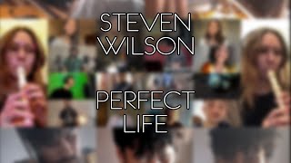 Magner — Perfect Life (Steven Wilson cover)