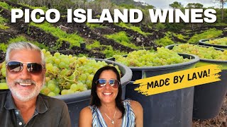 INSULA ATLANTIS WINERY - PICO ISLAND WINES  AT ITS BEST -Unique vineyards make special wines -Ep 242