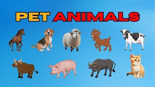 पालतू जानवरों के नाम | Pet Animals Name in Hindi and English 🐰🐦