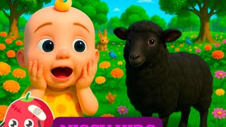 Baa Baa Black sheep top nursery rhymes fun cartoon kids songs collection NISSY KiDS