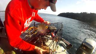 Puget sound crabbing