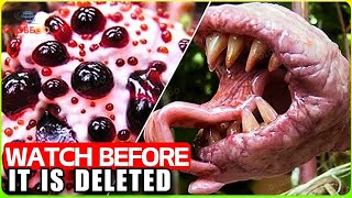 This Carnivorous Plants Are MORE DANGEROUS THAN Poisonous Snakes, See How They Hunt! Documentary