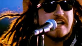 Wildhearts - Top Of The World