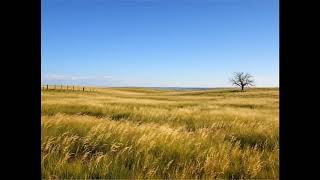 Prairie Wind