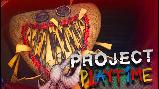 Project Poppy Playtime vs Huggy Wuggy gameplay (No comments)