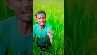 Comedy Maskari.