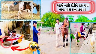 આજે બંસી ઘોડીને લઇ ગયા નાના માત્રા ડાબા કપવવા|AK BANNA|HORSE LOVERS|KATHIYWADI HORSE|HORSE VIDEO|