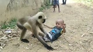 बंदरों के बीच फंस गए भाई बहन फिर जो हुआ उसे जरूर देखना || Viral Khabar