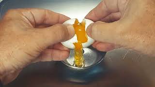 DIY Gourmet Ingredients - Large Grade A Eggs