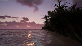 Spend the time on sunset in the beach to the sound of ocean and birds | Sounds for Sleeping | ASMR