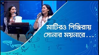 মাটিরও পিঞ্জিরায় সোনার ময়না | Amar matir o pinjira sona | Nexus Television Music