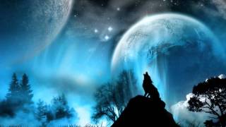 Das Winter Wolf-C3C