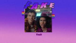 [THAISUB] Fake - Lauv & Conan Gray | แปลเพลง