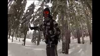 EZ Snowboarding 3 Trees