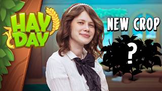 A new Neighborhood Event in Hay Day