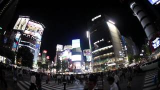 The Most Insane Pedestrian Crossing in the World