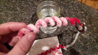 DIY Crystal Ornament Craft