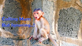 Ah look Pitiful..! Momo Repeatedly Calling Mummy But Malika Ignoring Her So Long Time #Love Monkey