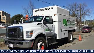 Summit Tree Care Diamond Certified Video Profile