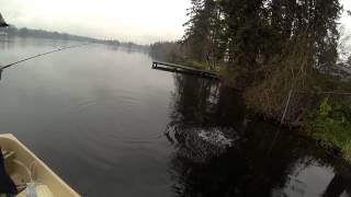 bass fishing(jigmiester)