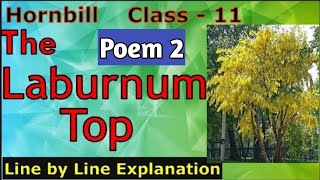 11 class second poem the laburnum top explain line by line with summary for All exams