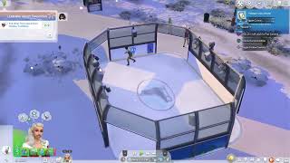 Week 1 of cozy traditions quests on sims 4