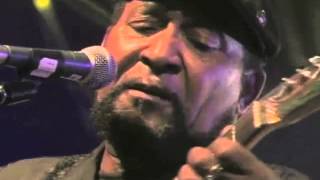 Super Chikan Live at Harvest Jazz & Blues
