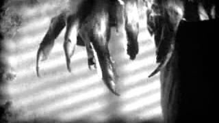 Southern Wolfman Alcoholist