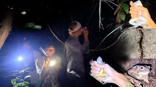 Catching frog adventures part 5