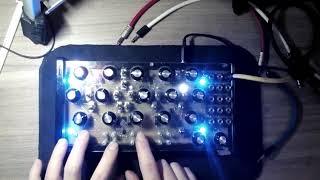 Muscarin - patch of the day, drone day