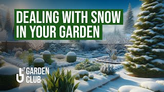 Mastering Winter: ❄️ Essential Tips for Dealing With Snow in Your Garden